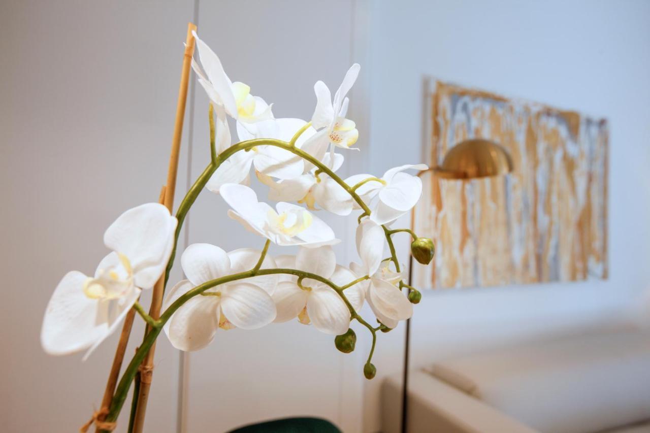 Tirso Suite Madrid Esterno foto